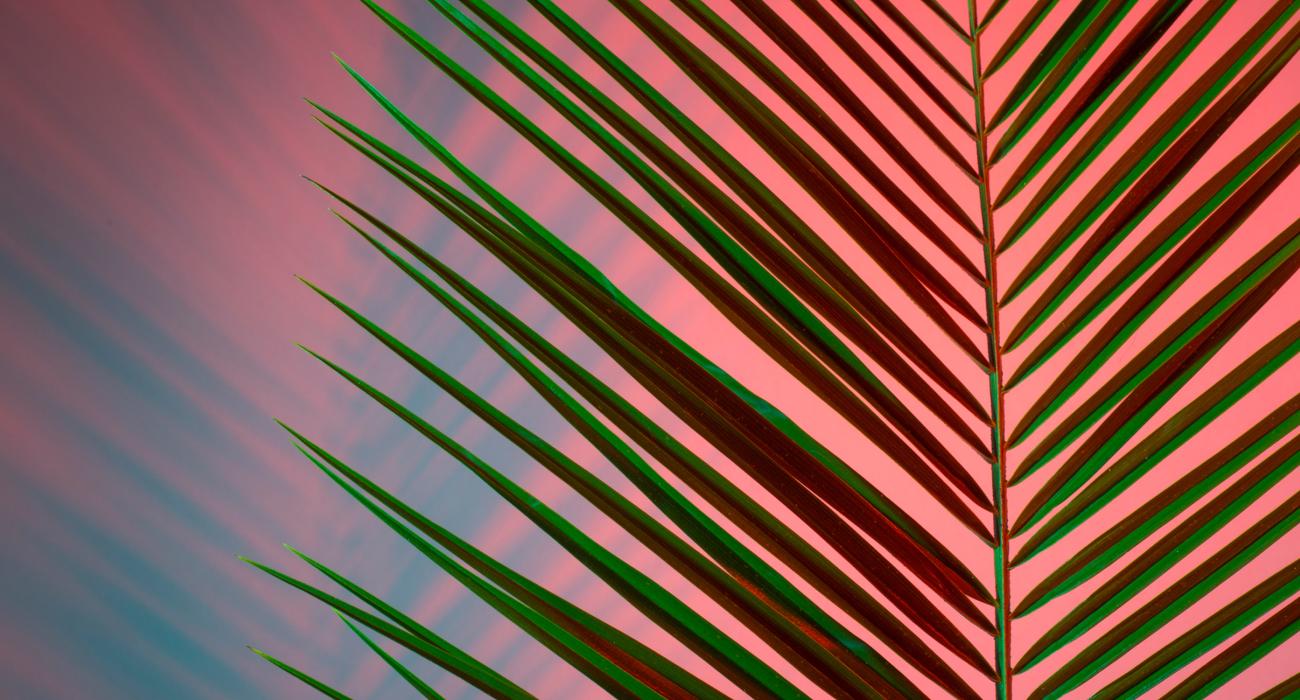 Environmental, Social & Governance (ESG) Practice Image